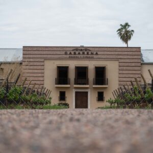 Luján Región Sur: Bodega Casarena & Bodega Renacer