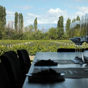 Luján Región Sur: Bodega Casarena & Bodega Renacer
