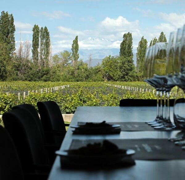 Luján Región Sur: Bodega Casarena & Bodega Renacer