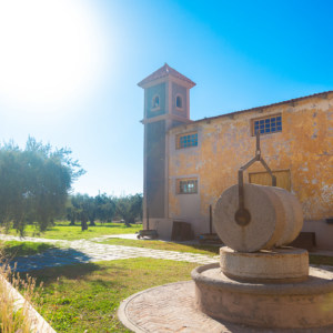 Maipú Región Sur: Laur & Antigal Antigal Winery & Estate