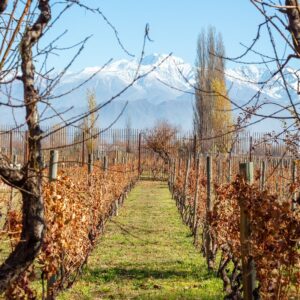 Trekking y vino: Trekking & Casa Bermellon