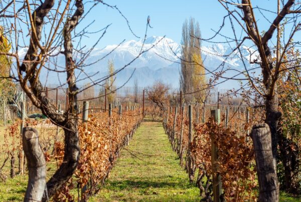 Trekking y vino: Trekking & Casa Bermellon
